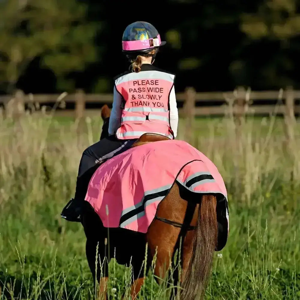Pink reflective horse blanket with black and gray stripes showing the back side of comfortable waistcoats pass wide air jackets