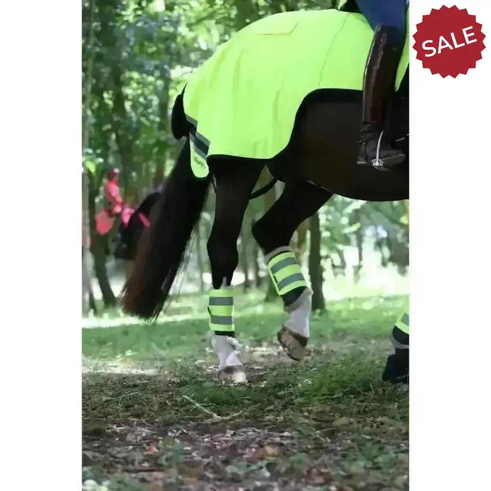 Equisafety Hi Viz Wraparound Winter Exercise Rug Red Pony Exercise Sheets
