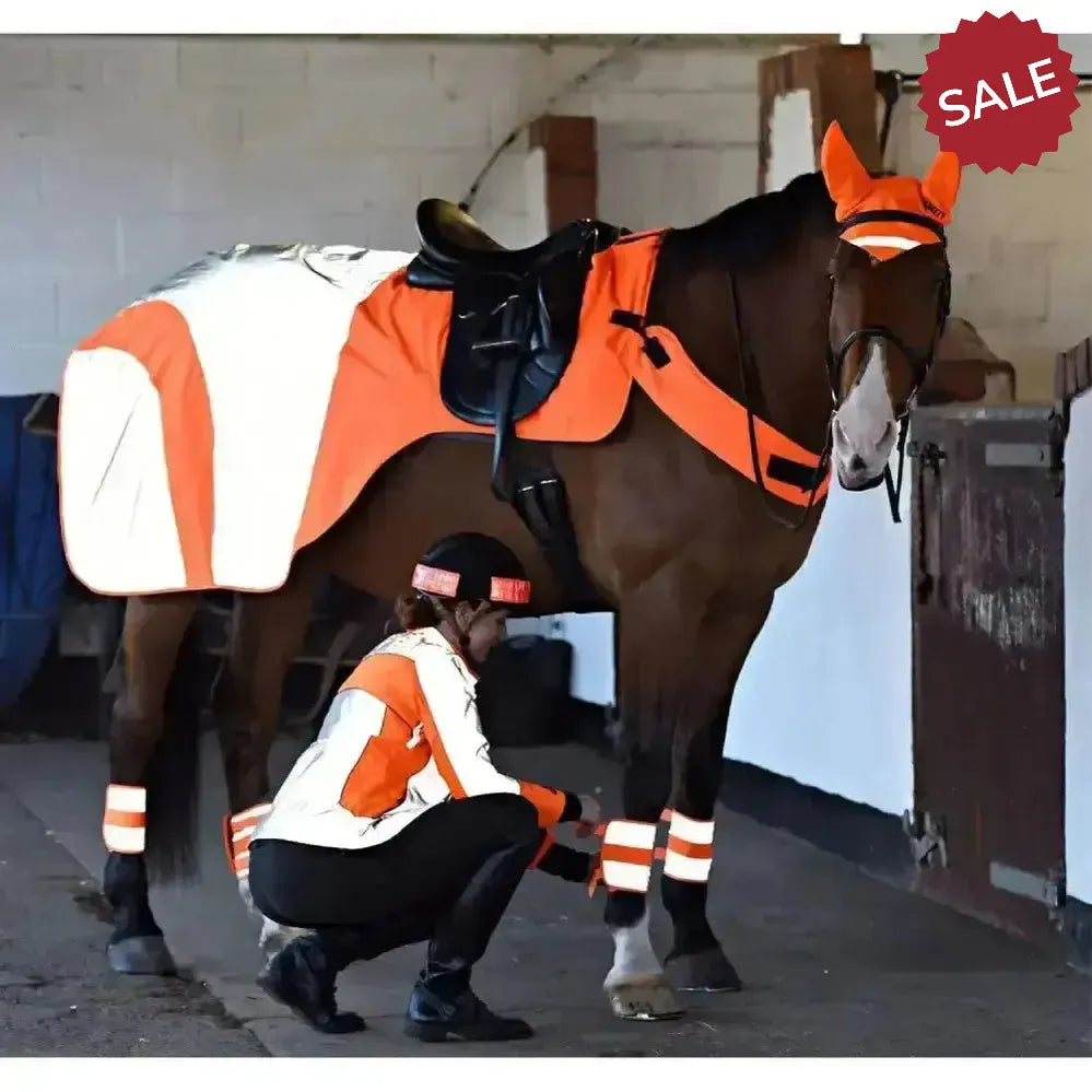 Equisafety Hi Viz Wraparound Winter Exercise Rug Red Pony Exercise Sheets