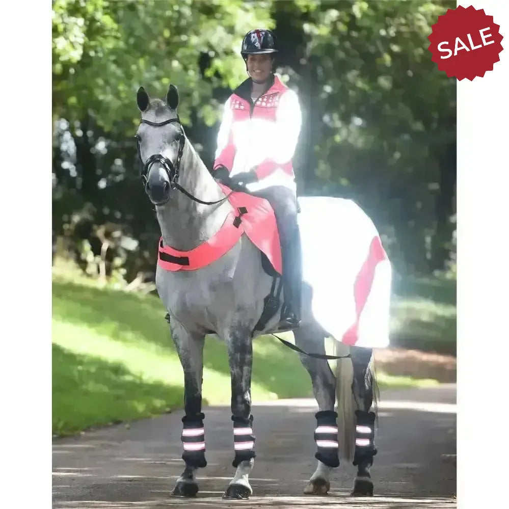 Equisafety Mercury Hi Viz Waterproof Exercise Sheets Orange Pony Outdoor Coats