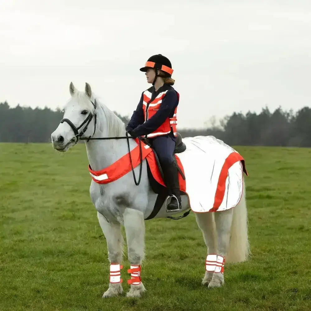 White horse wearing equisafety mercury hi viz waterproof exercise sheets and reflective exercise rugs with advanced reflective material