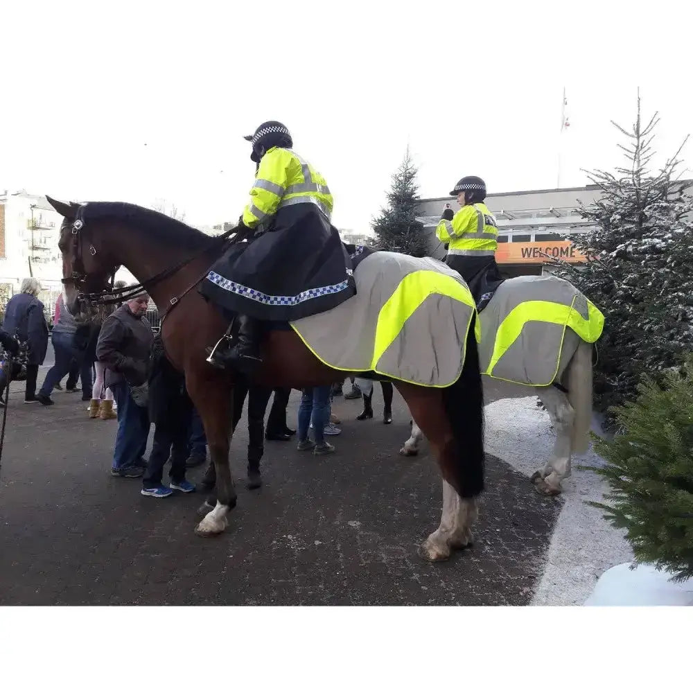 Brown horse wearing equisafety mercury hi viz waterproof exercise sheets with advanced reflective material