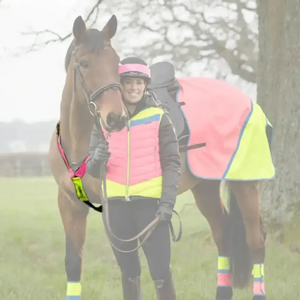 A brown horse wearing an equisafety multi-coloured neckband with bright pink headband and riding hat bands showing high head carriage