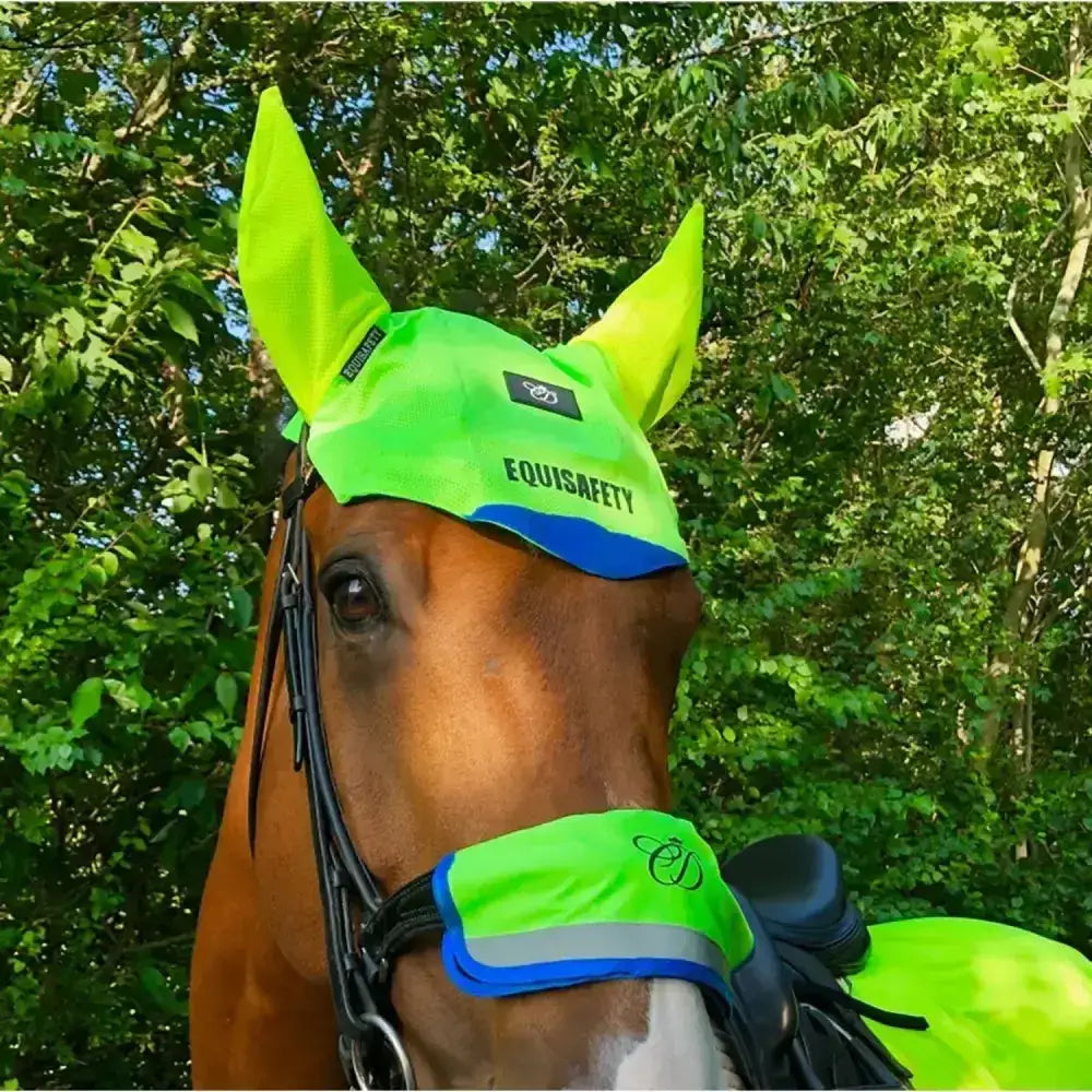 Bright neon green equisafety multi-coloured noseband horse fly mask with blue trim and reflective strip for safety