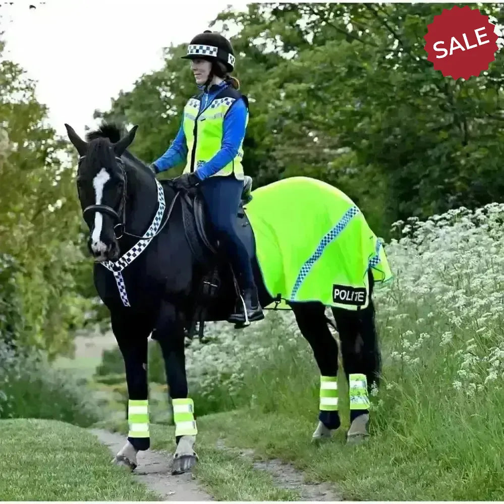 Equisafety Polite Hi Vis Summer Exercise Sheet Show Pony 5'6"- 5'9" Ride On Fly Rugs