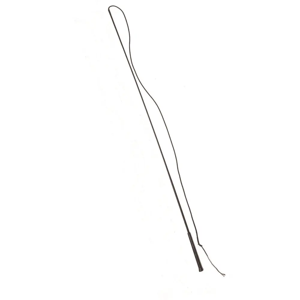 Equisential Economy Lunge Whip Black Lunge Whip