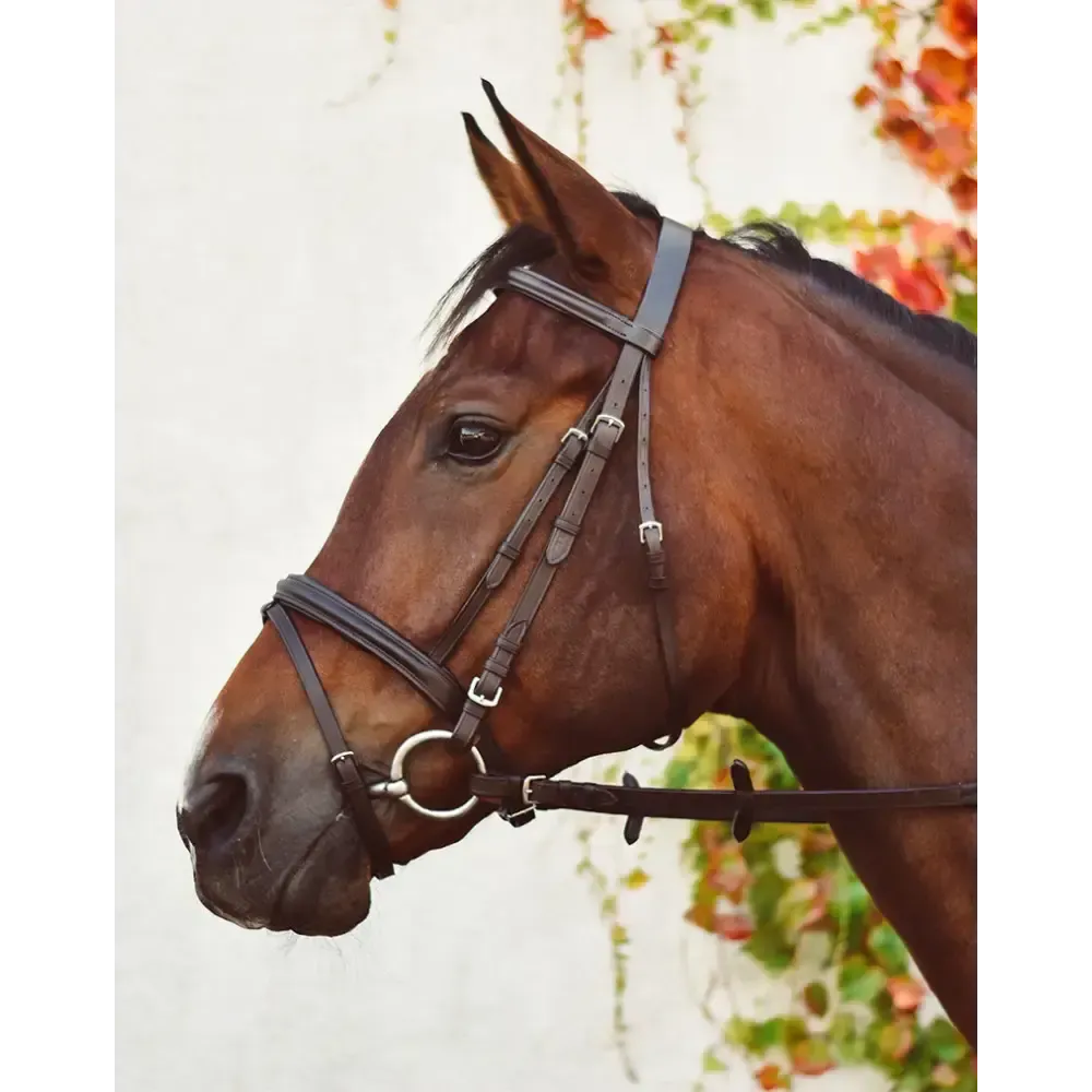 EquiSential Flash Bridle Raised Leather Black Pony Flash Bridles