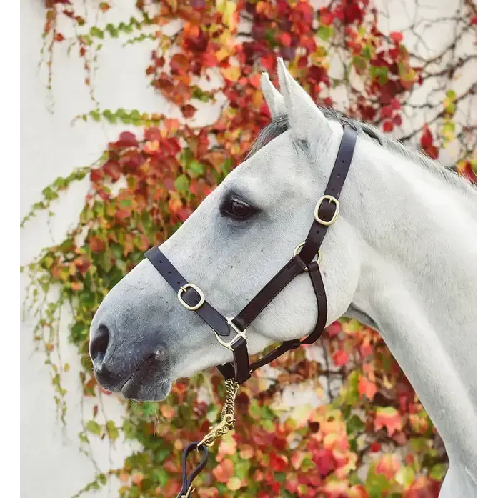 Equisential Leather Headcollar Black Pony Leather Headcollars