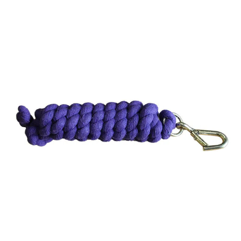 Purple braided rope keychain with silver metal carabiner clip from equisential walsall leadrope collection