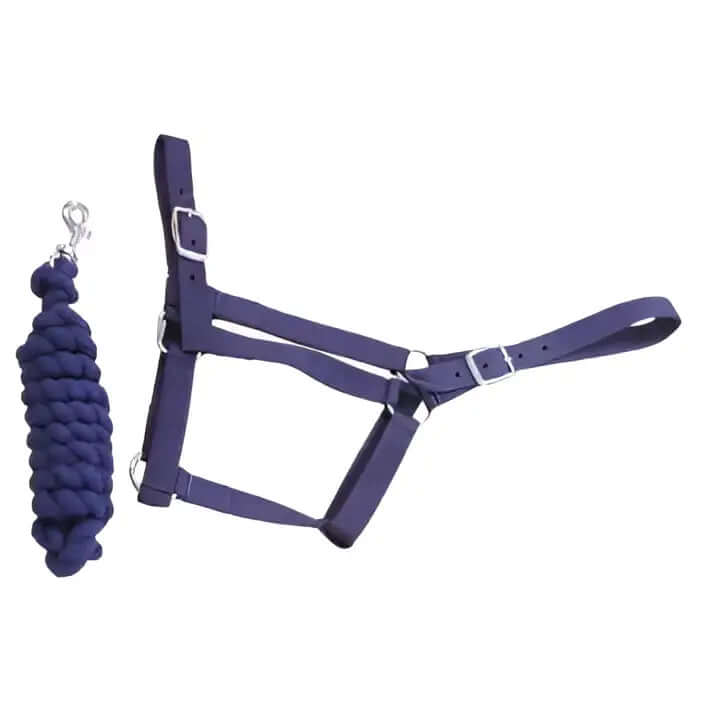 Purple nylon equissential economy headcollar with silver buckles and matching braided leadrope set