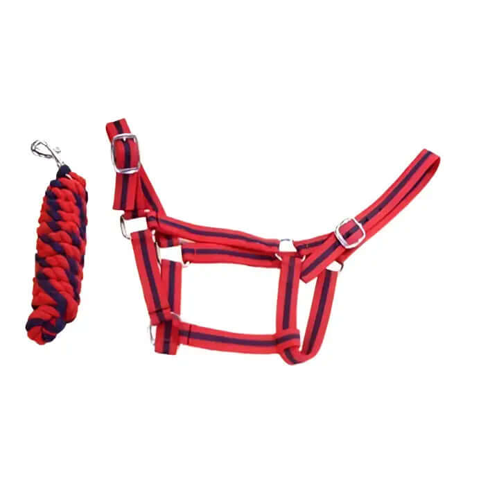 Red and navy striped equissential economy headcollar with silver buckle hardware perfect for everyday use