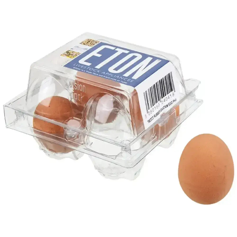 Clear plastic egg carton holding brown eton rubber bantam realistic dummy rubber eggs for display use