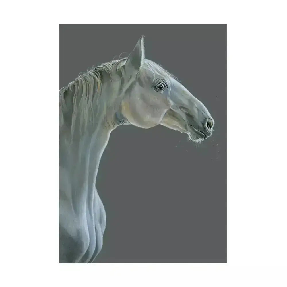 A hand illustrated equine fine-art card featuring a detailed white horse head in soft gray tones called eureka card the grey