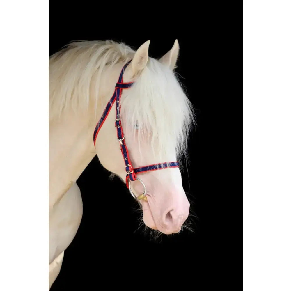 A white horse wearing an exmoor bridle with red and navy cheek pieces and silver flash attachment hardware