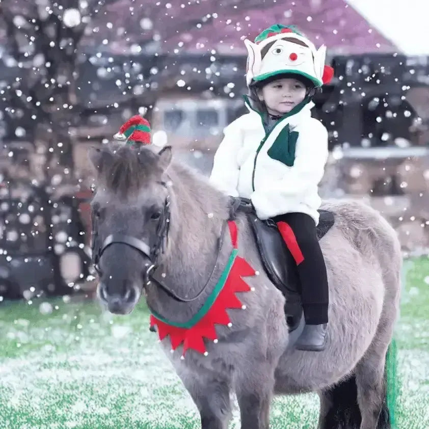 Festive Horse Christmas Breastplate Pony Novelty Riding Hat Covers