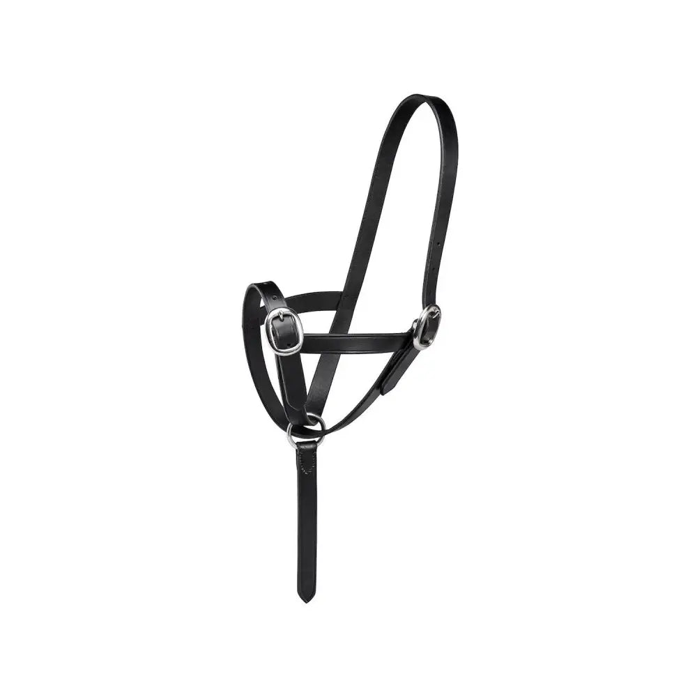 Black leather firefoot foal slip halter with silver metal buckles and rings perfect for foal slip leather use