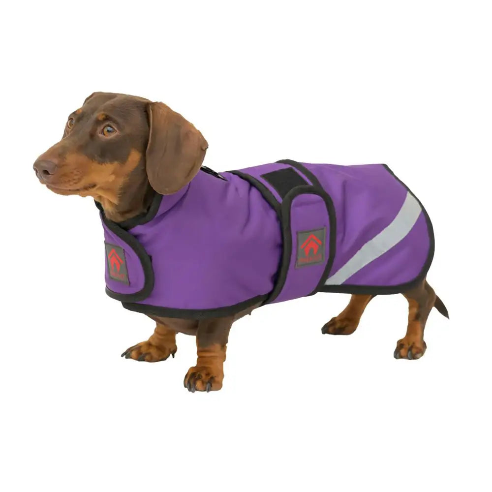 Firefoot Outdoor Dachshund Coat With Fleecy Lining Navy 12"/30 cm NAVY Dog Coat