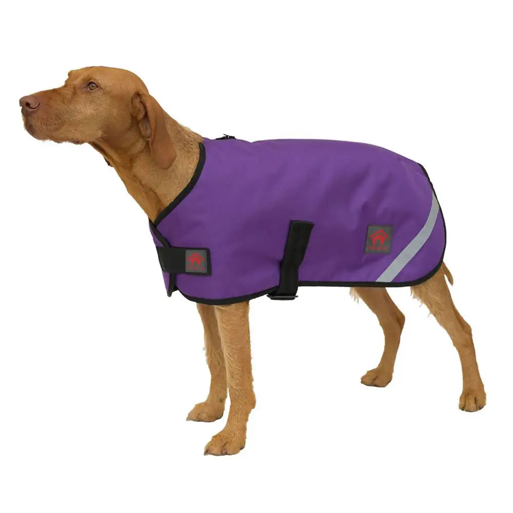 Firefoot Outdoor Dog Coat With Fleecy Lining Purple 12"/30 cm PURPLE Dog Coat