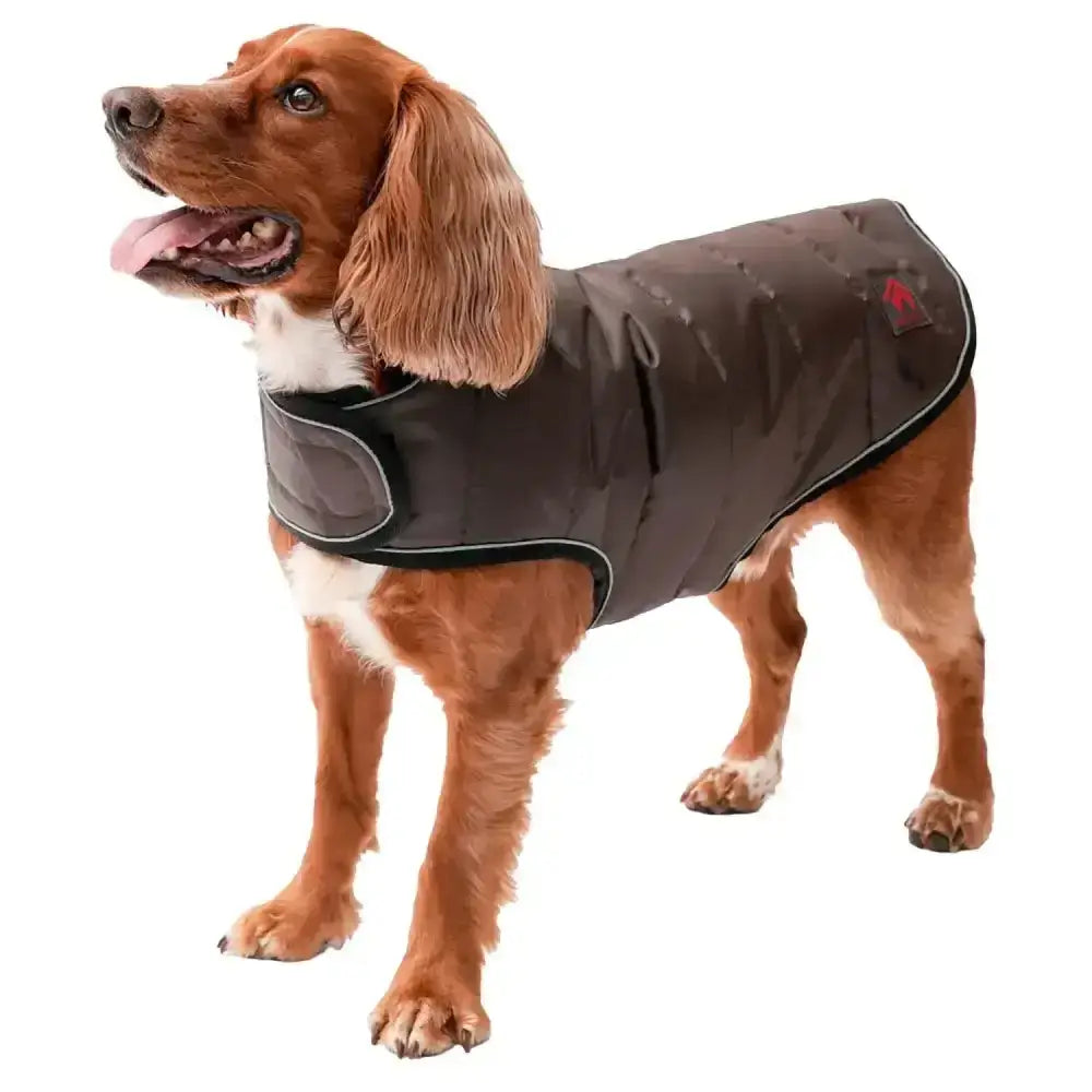 Dark gray firefoot quilted dog coat with black trim small red logo zipped shoulder harness and belly wrap features
