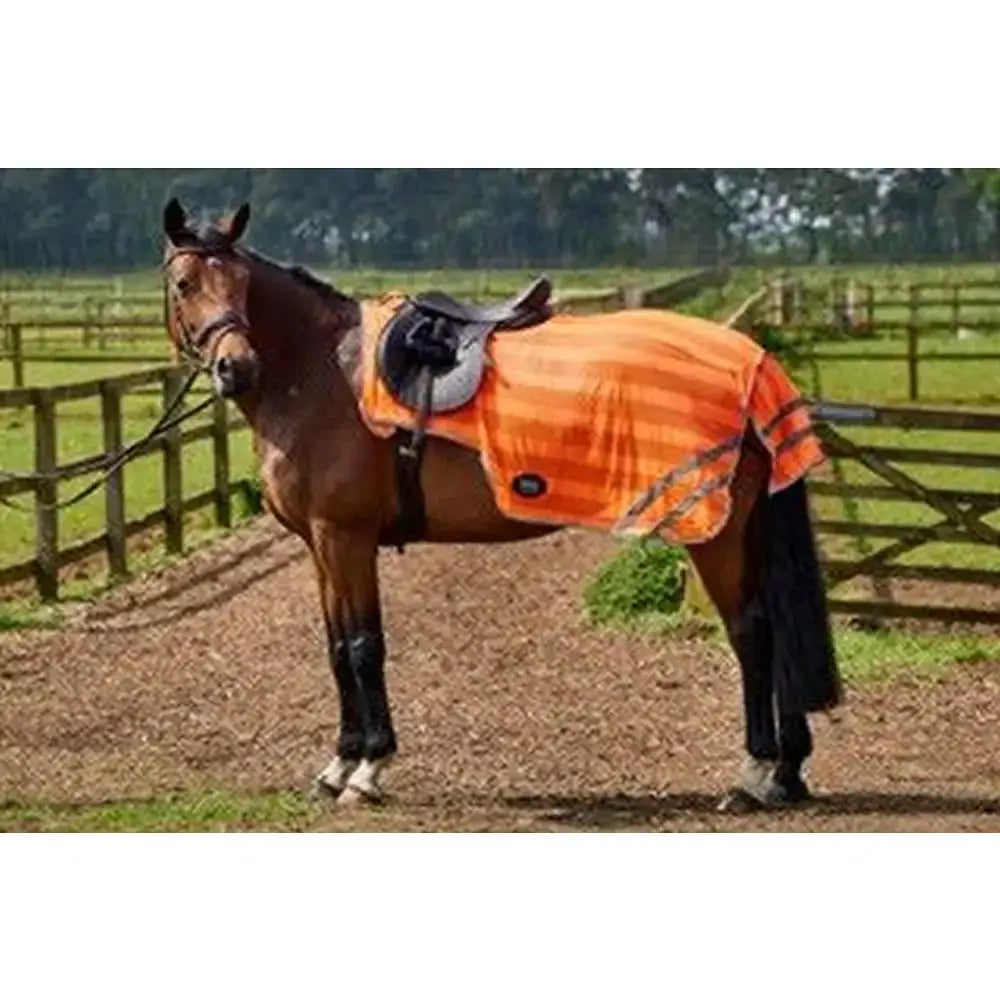 Orange striped firefoot reflective exercise sheet with reflective strips and black saddle on top