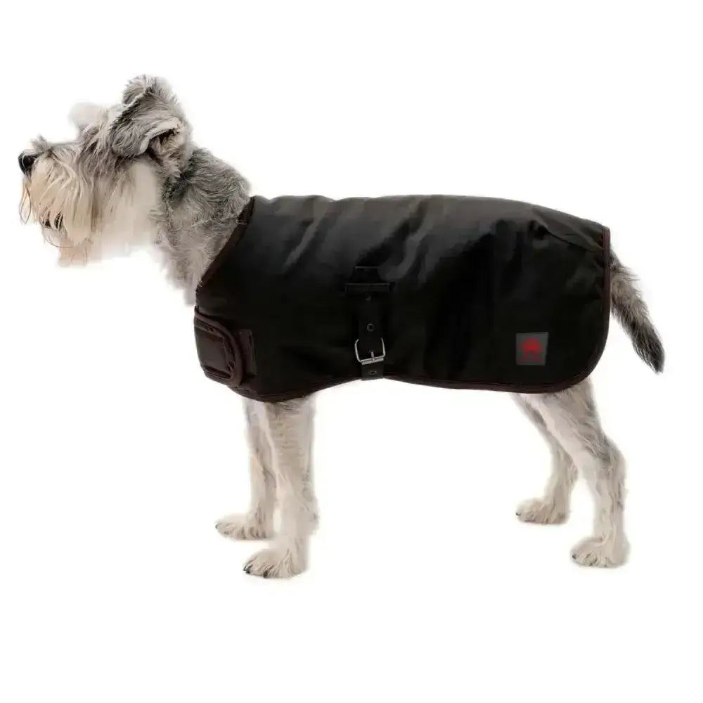Black waterproof waxed dog coat firefoot waxed dog with buckle closure and small red logo on the side