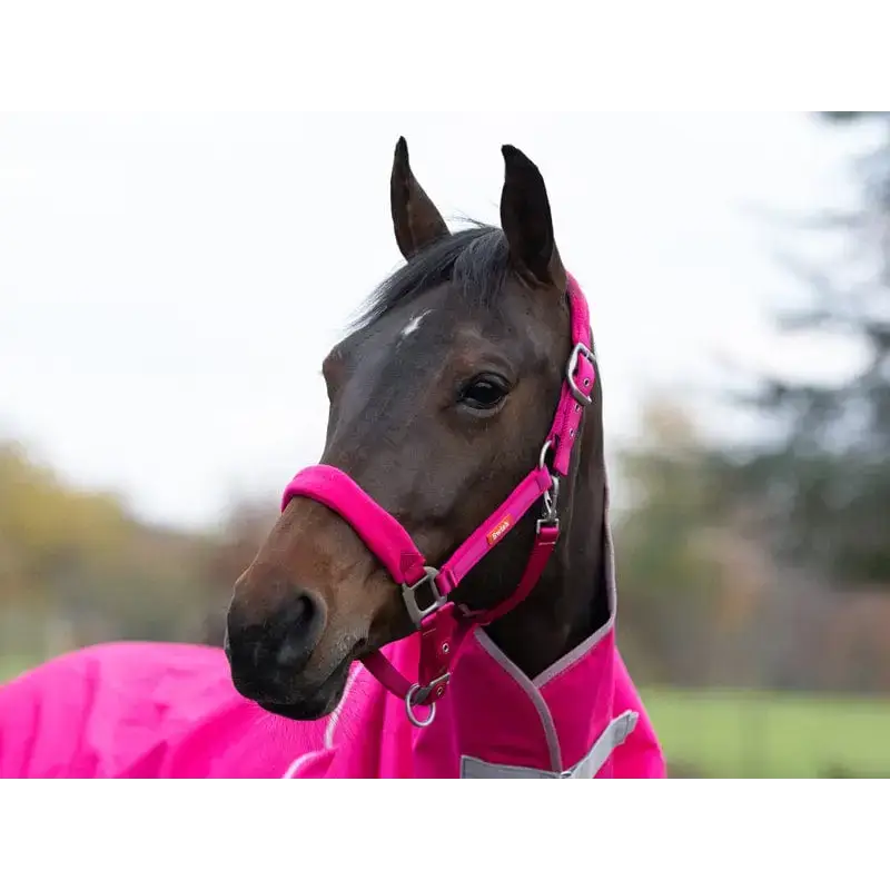 Swish Fleece Padded Head Collar - Pink Pony Headcollars