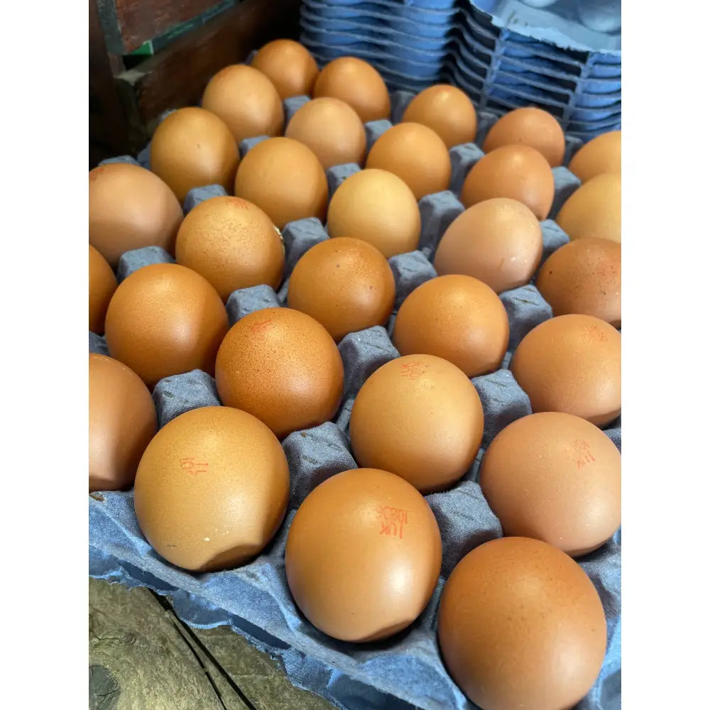 Brown free range eggs in a gray cardboard carton from mike’s eggs provide fresh fuel for the hungry rider