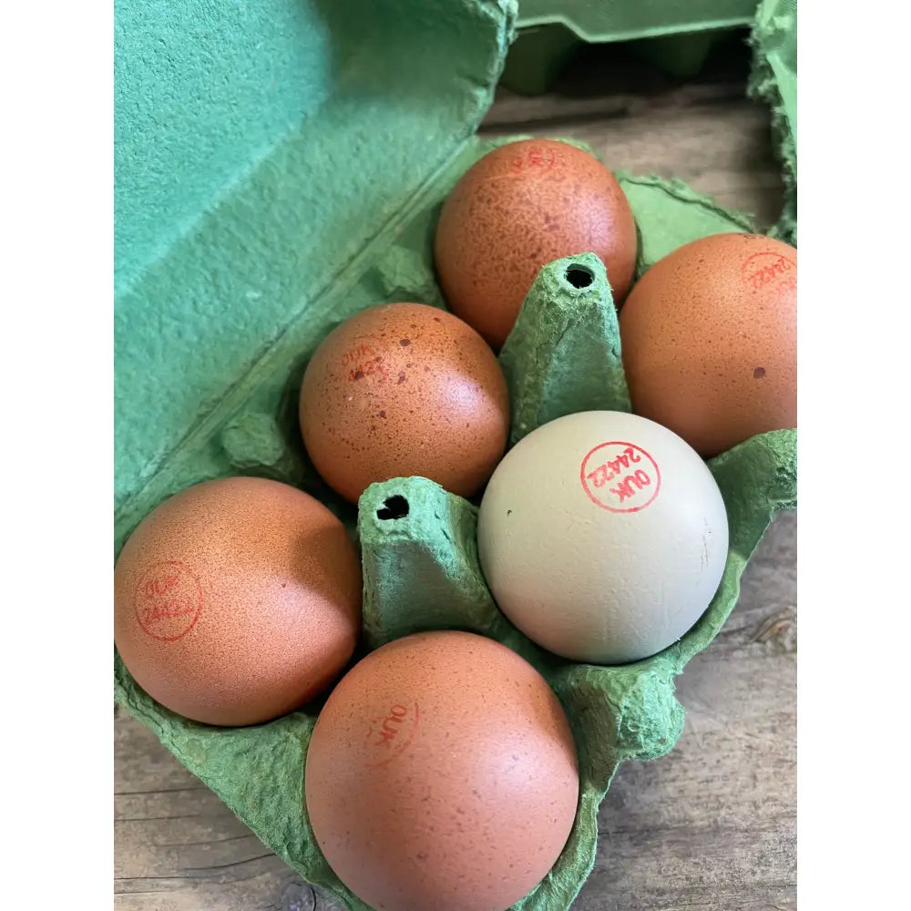 A white egg with a red stamp among brown speckled range eggs organically packed in a green carton