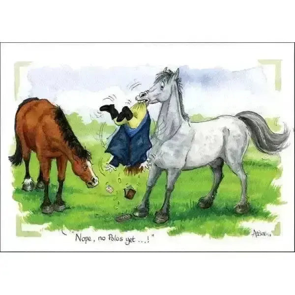 Funny Horsey Cards By Splimple Aahh What Could Possiblygo Wrong Horsey Greeting Cards
