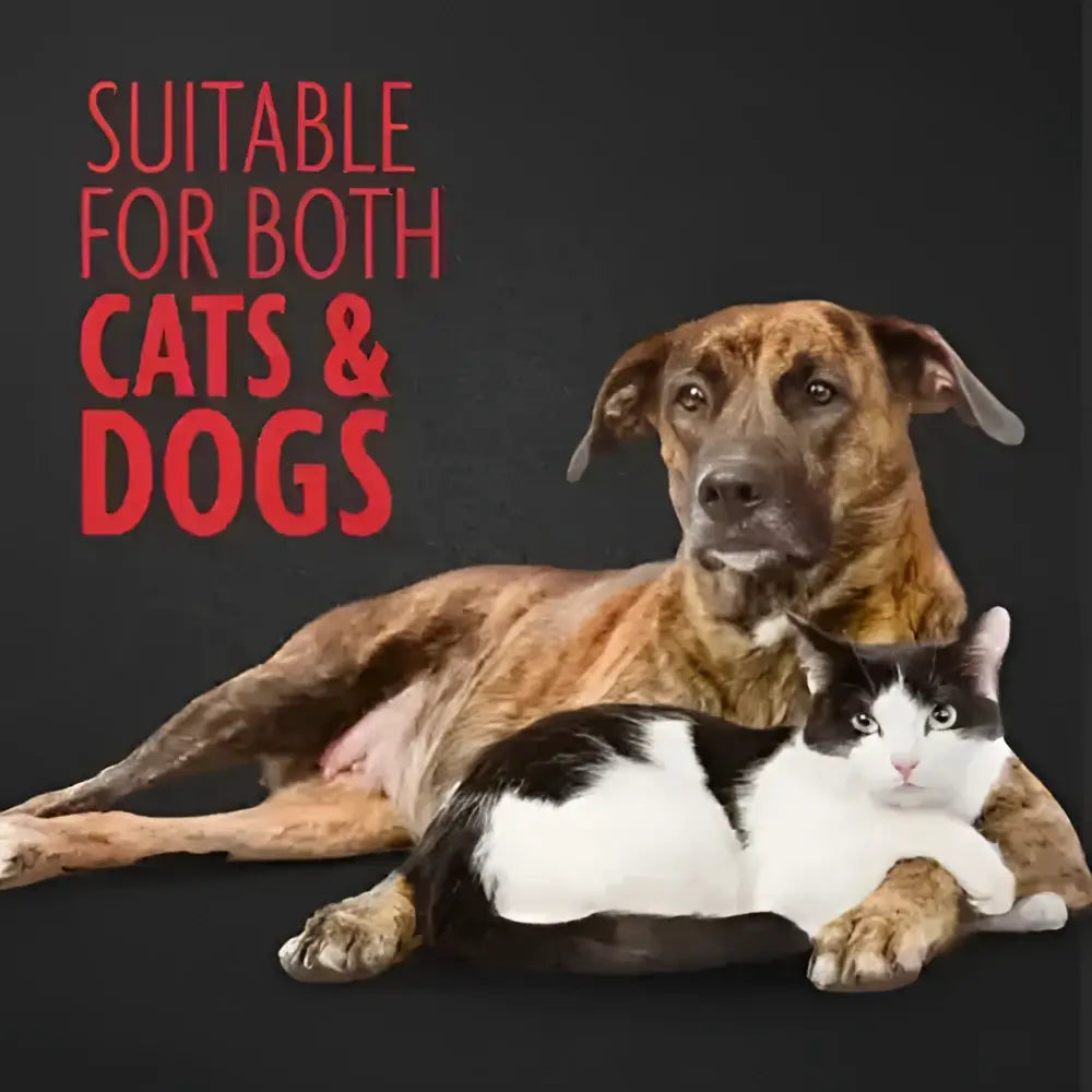 Brindle-coated dog and black-and-white cat resting together showing furminator adjustable dematter tool use case