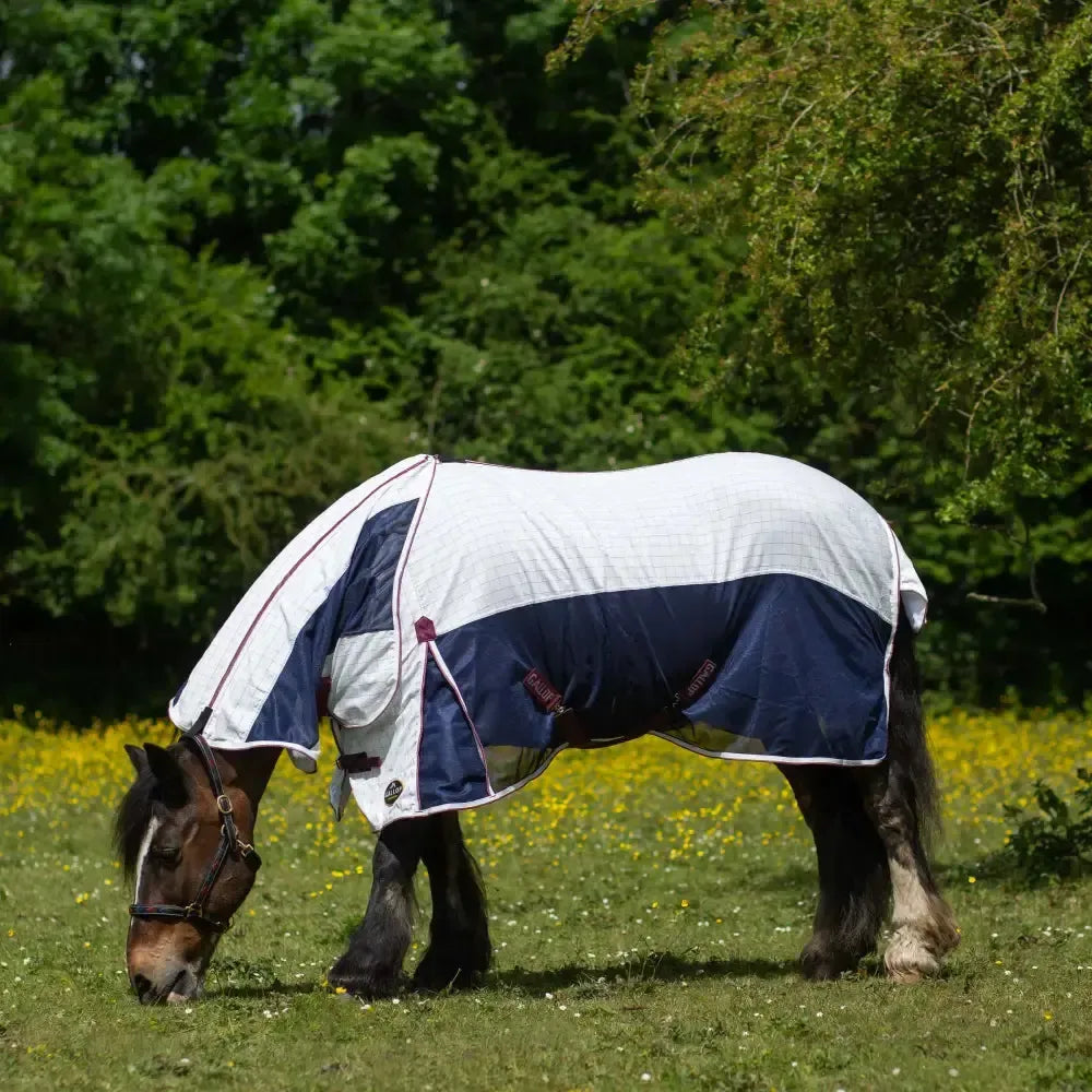 Gallop Air Mesh Detachable Cooler Turnout Sheet 5'6" Cooler Rugs