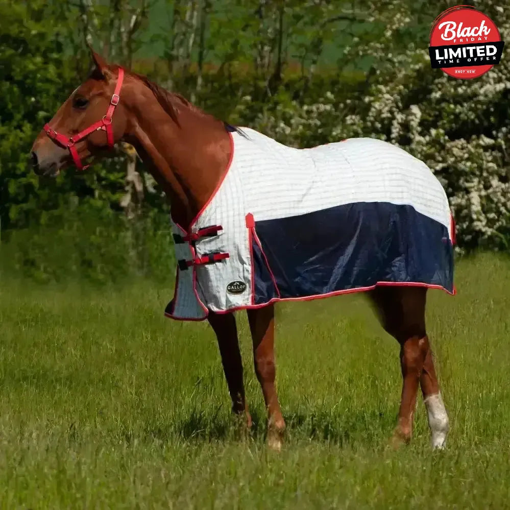 Gallop Air-Mesh Summer Sheet 5'3" Fly Rugs