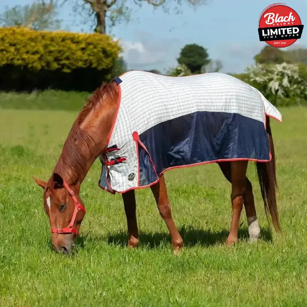 Gallop Air-Mesh Summer Sheet 5'3" Fly Rugs