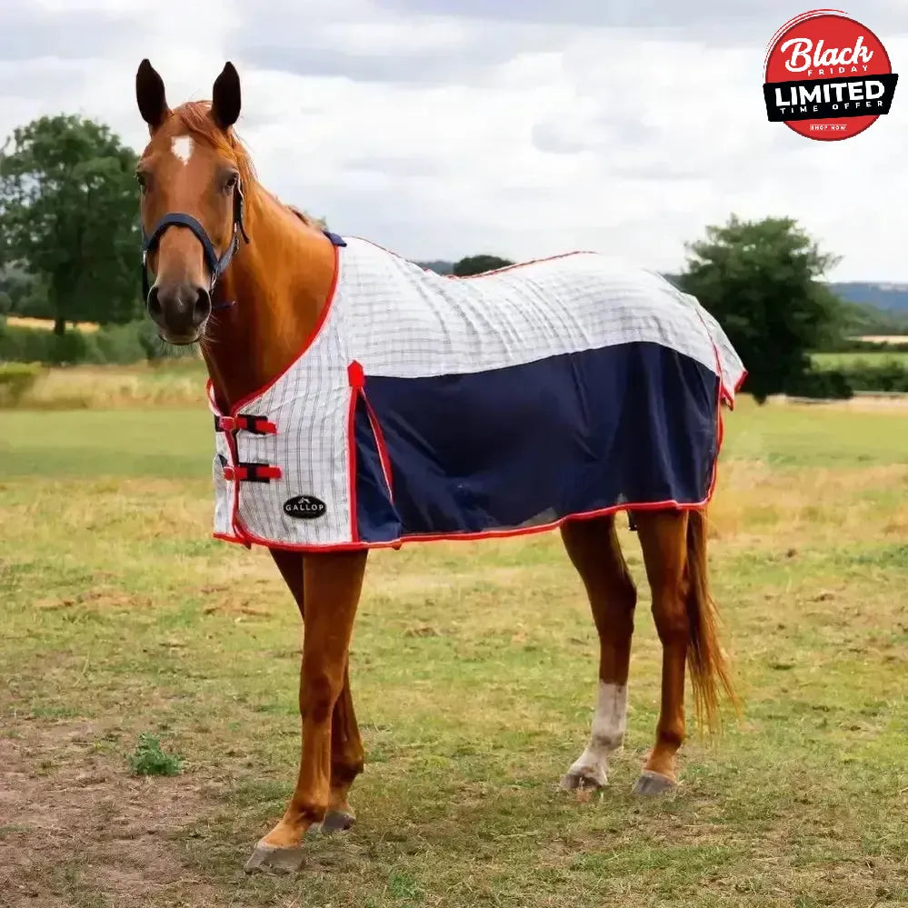 Gallop Air-Mesh Summer Sheet 5'3" Fly Rugs