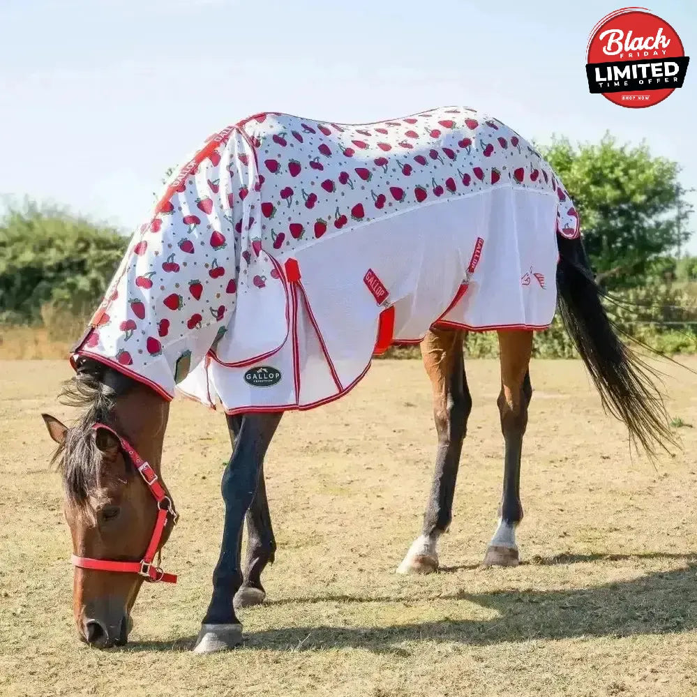 Gallop Berries & Cherries Combo Fly Rug 5'0" Fly Rugs