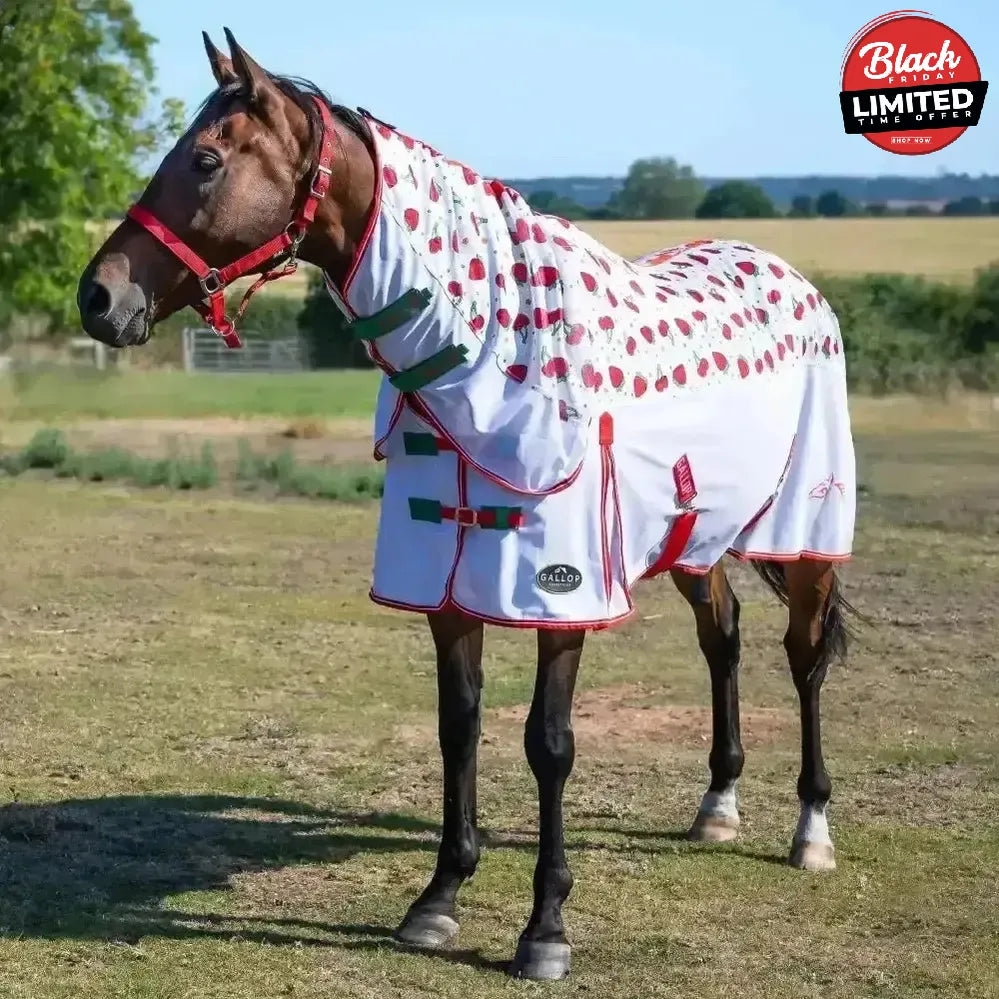 Gallop Berries & Cherries Combo Fly Rug 5'0" Fly Rugs