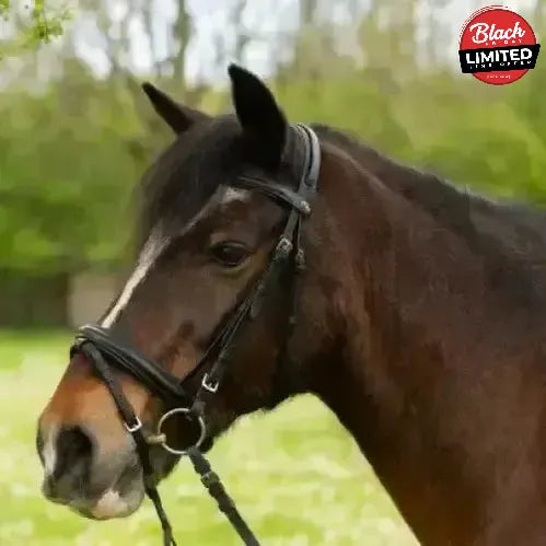 Gallop Comfort Bridle With Rubber Reins Black Pony Bridles