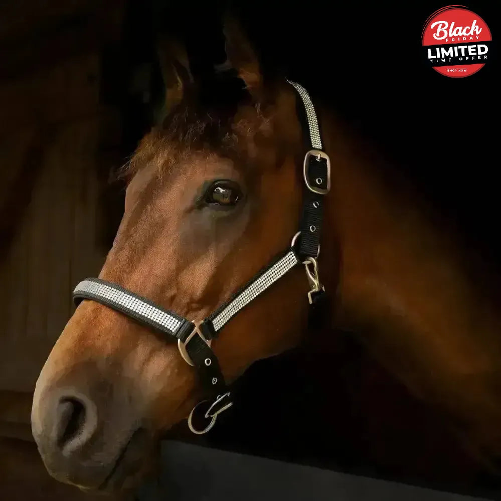 Gallop Diamante Padded Headcollar Black Cob Headcollars