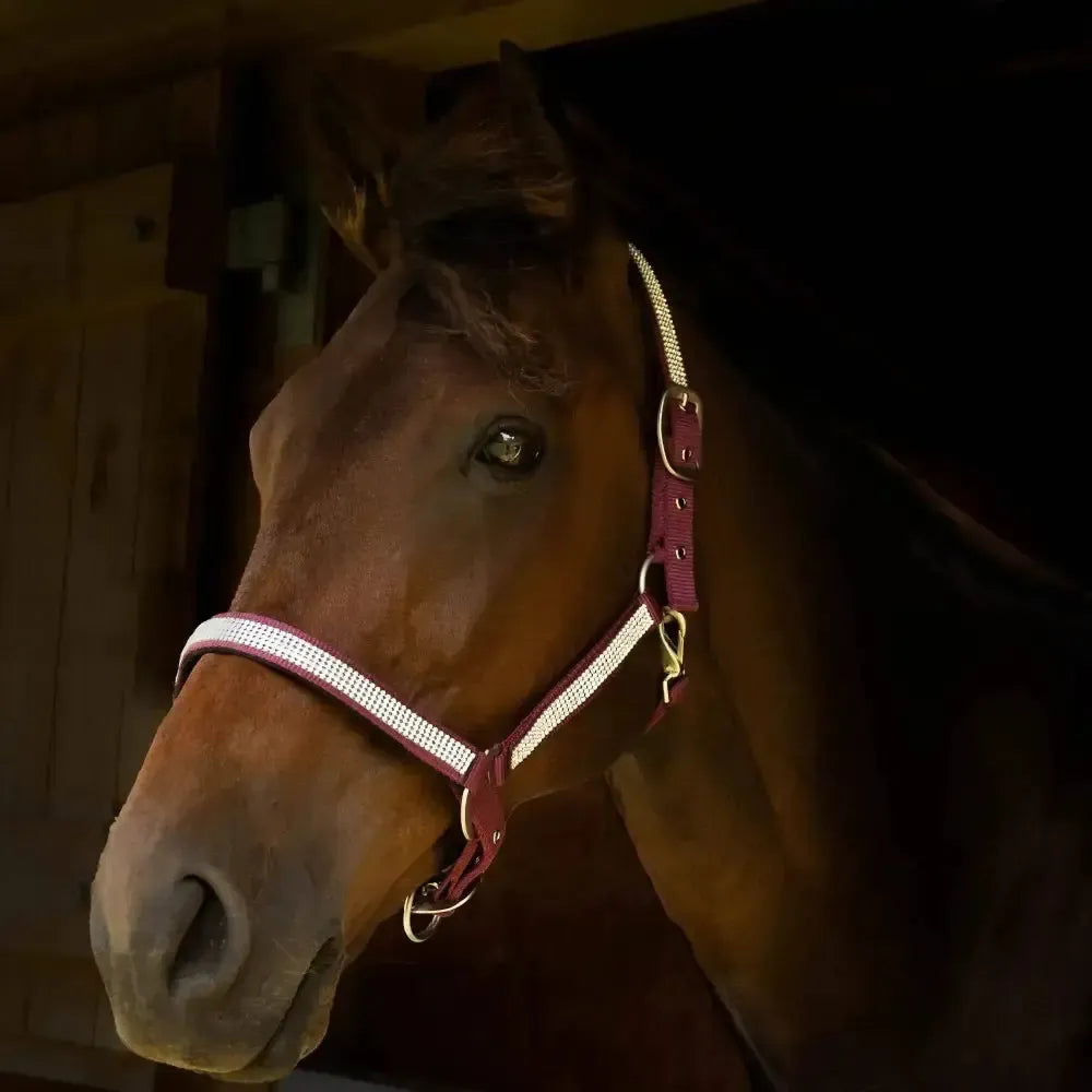 Gallop Diamante Padded Headcollar Burgundy Cob Headcollars