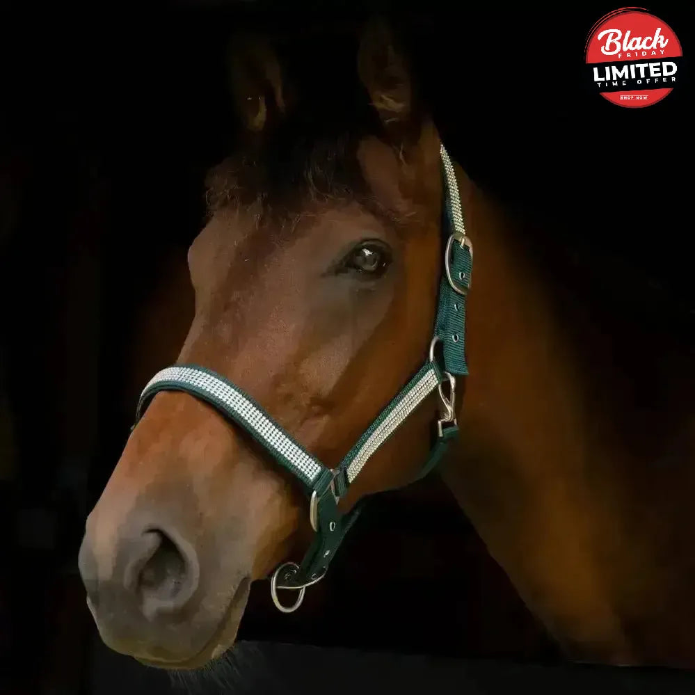 Gallop Diamante Padded Headcollar Black Cob Headcollars