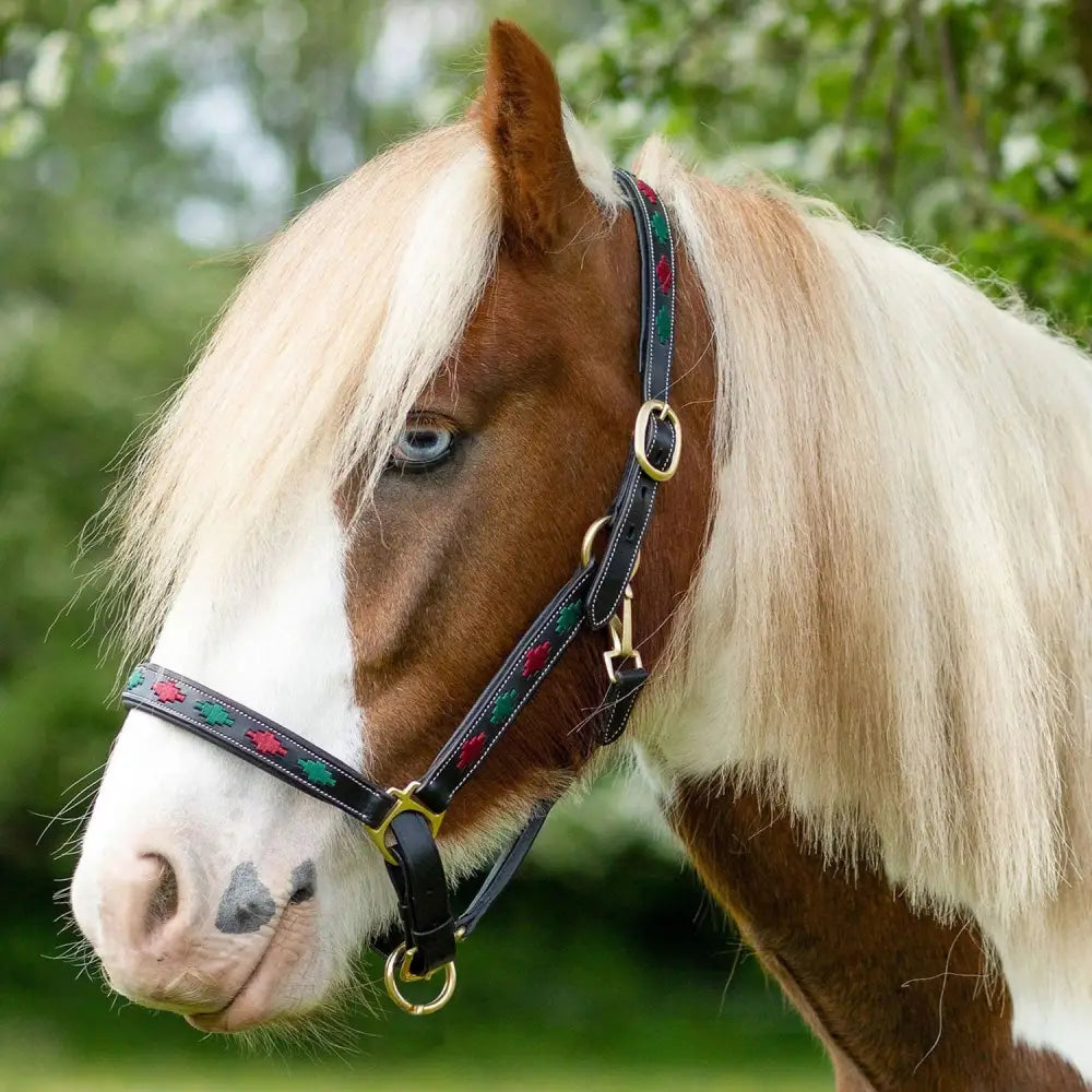 Black leather gallop diamond padded leather headcollar burgundy with red green floral embroidery and gold hardware