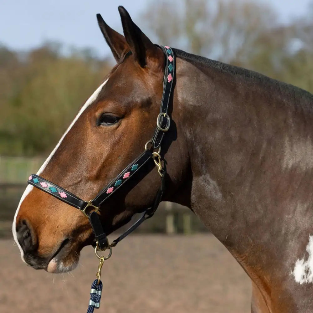 Black leather gallop diamond padded leather headcollar pink aqua with pink and teal floral embroidery details