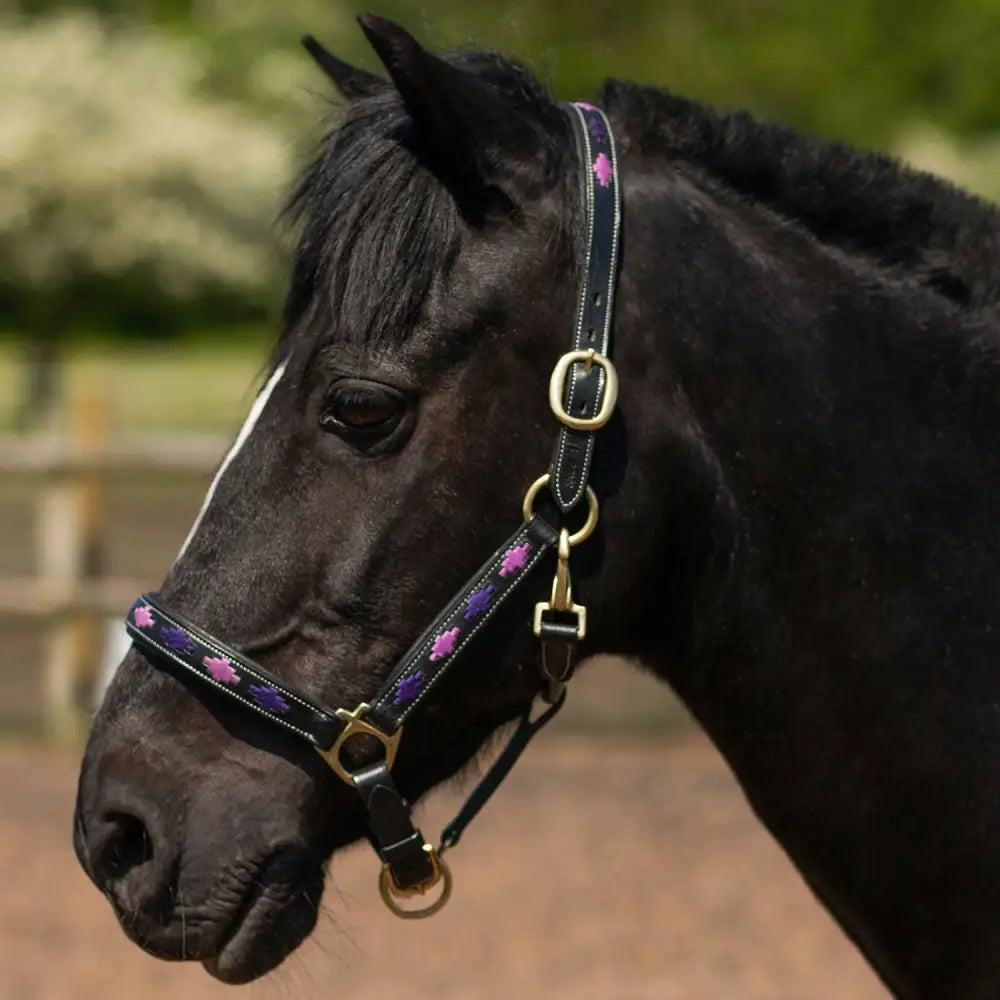 Black leather gallop diamond padded leather headcollar purple lilac with pink floral embroidery and gold hardware