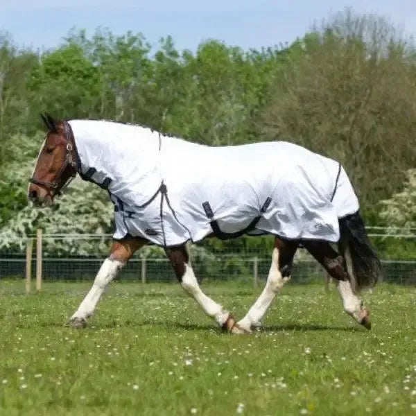 Gallop Essential Combo Fly Rug 5'6" Fly Rugs