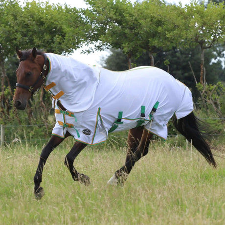 Gallop Fly Rug Mesh Combo 5'6" Gallop Equestrian Fly Rugs Barnstaple Equestrian Supplies