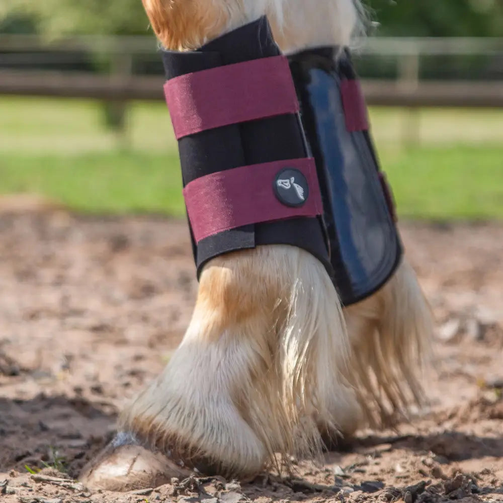 Black and maroon gallop gp brushing boots with transparent blue panel for equestrian hoof protection