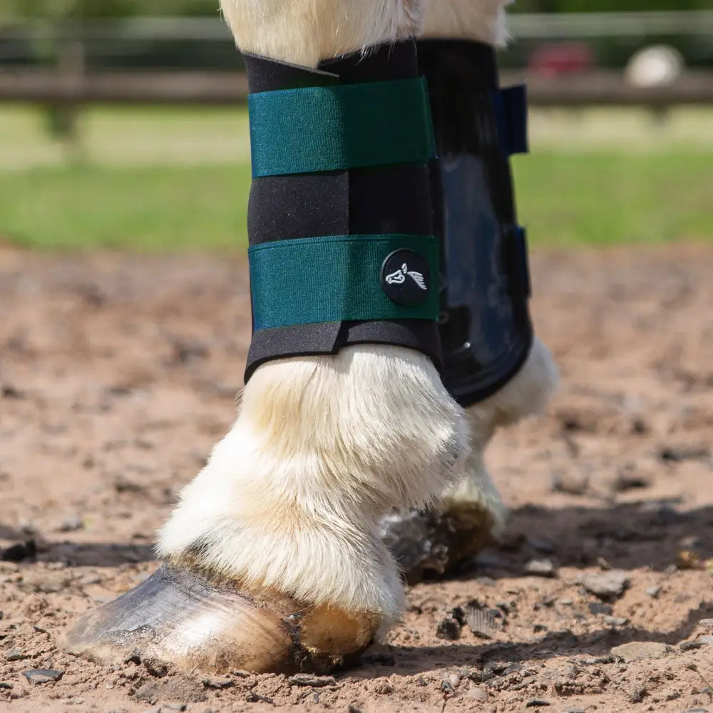 Black and teal gallop gp brushing boots with circular logo on strap designed for equestrian hoof protection