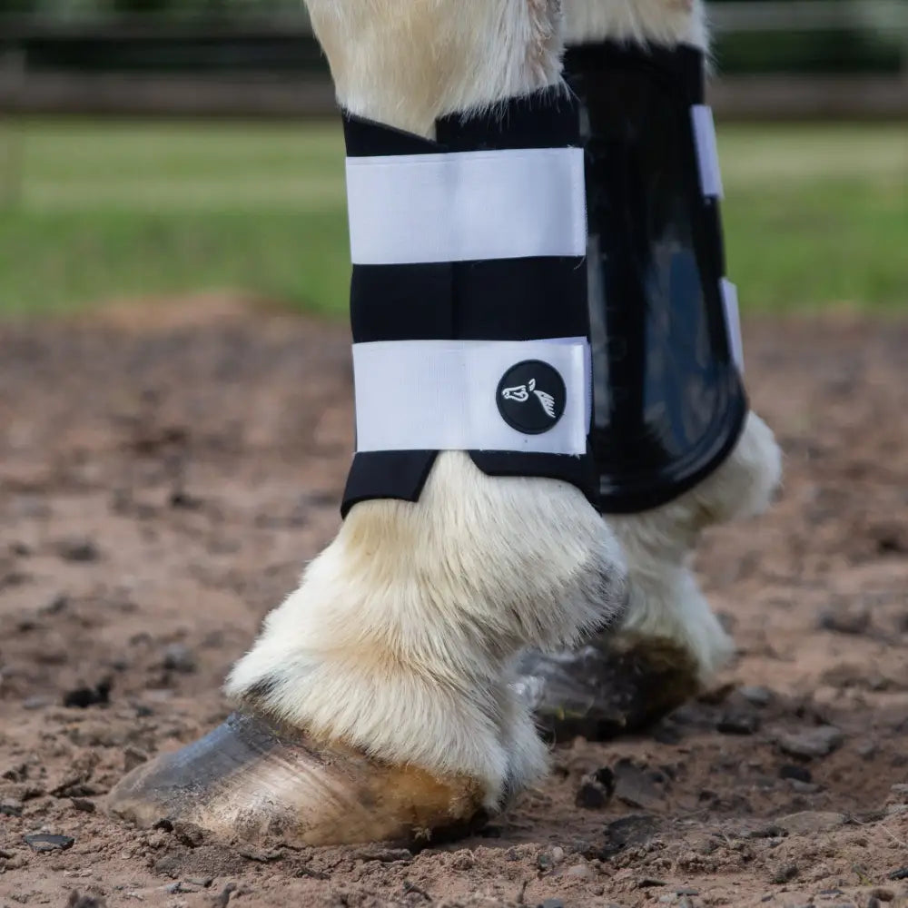 Front view of gallop gp brushing boots with black and white stripes and glossy protective panel for equestrian use