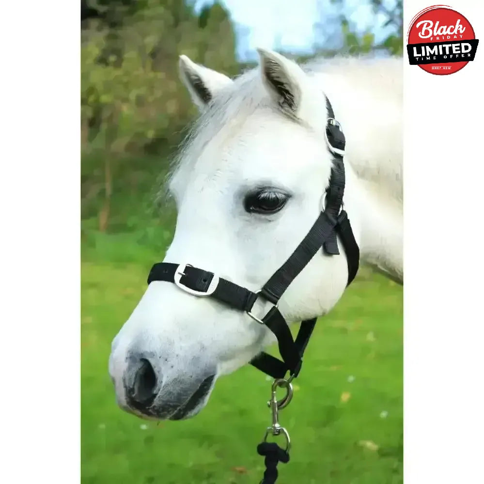 Gallop Headcollar and Leadrope set Black Shetland Headcollar Sets