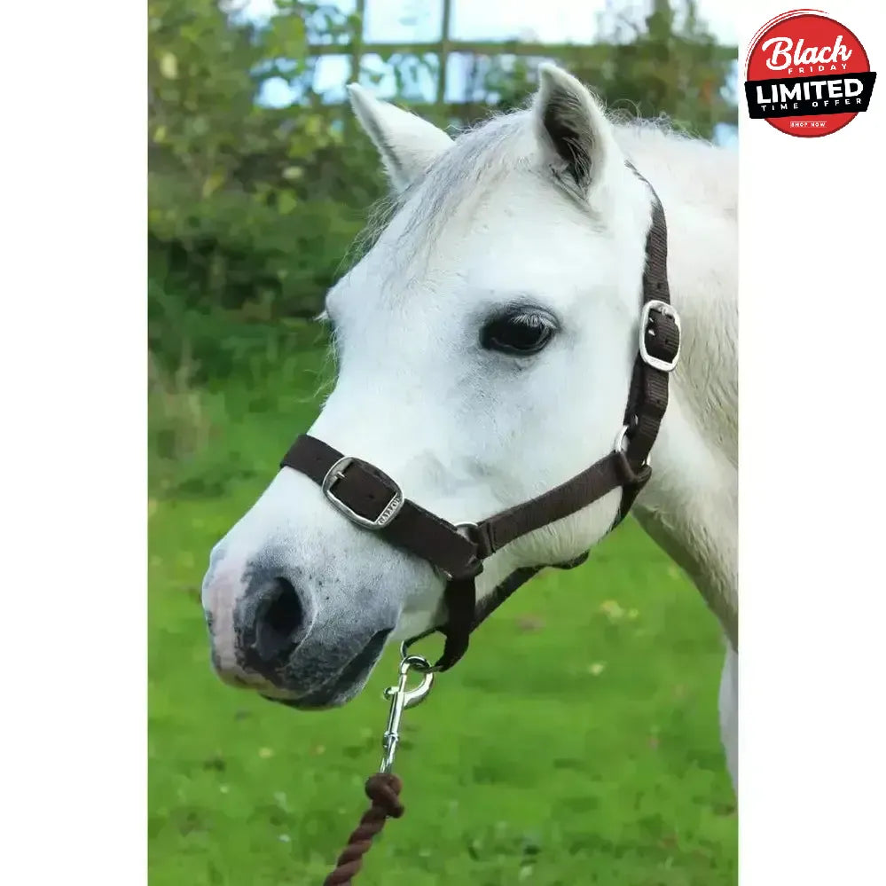 Gallop Headcollar and Leadrope set Black Shetland Headcollar Sets